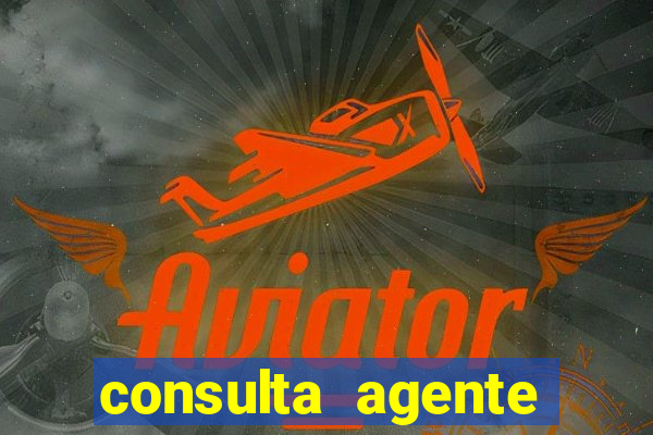 consulta agente autuador sp